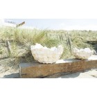 Muschel-Schale, 60/33 cm, Perlmutt weiß